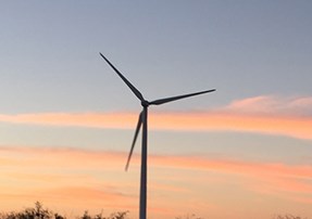 Javelina II (Albercas) Wind Energy Project